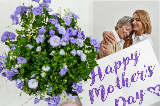 Celebrate Mom This Mother's Day with the Gift of Self-Care and Healthy Skin